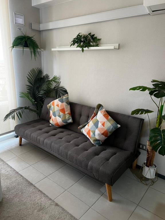 - un canapé noir dans un salon orné de plantes dans l'établissement Nuevo - moderno - aire acondicionado- parking privado - céntrico, à Rancagua