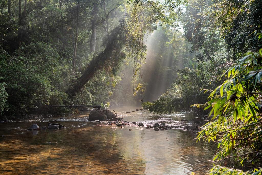 Φυσικό τοπίο κοντά σε αυτό το καταφύγιο