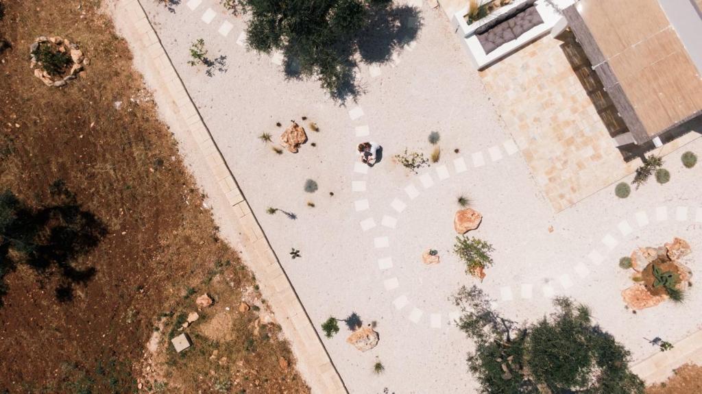 vue aérienne d'un groupe de chiens sur un trottoir dans l'établissement Villa Jolie con piscina, à San Vito dei Normanni