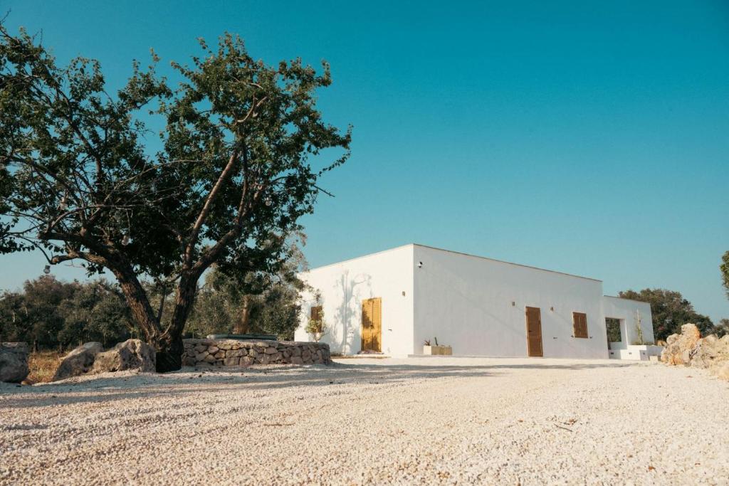 un bâtiment blanc avec un arbre devant lui dans l'établissement Villa Jolie con piscina, à San Vito dei Normanni