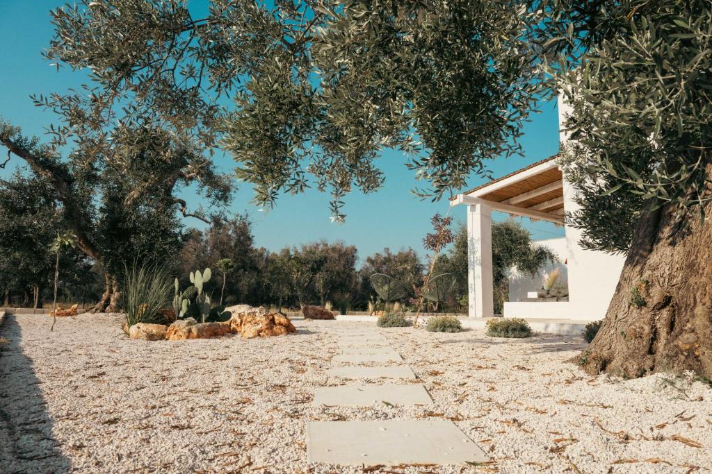 une allée de pierres avec un arbre et un pavillon dans l'établissement Villa Jolie con piscina, à San Vito dei Normanni 46 autres photos