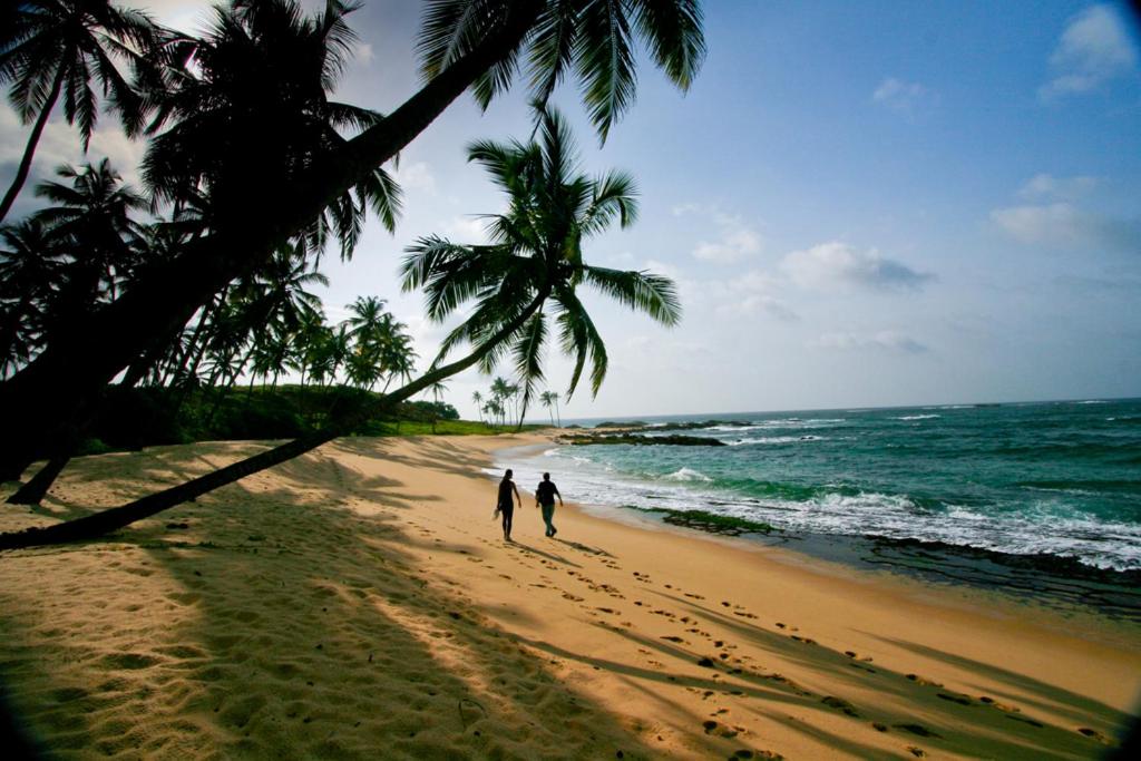 two people walking on a beach with palm trees at Walatta House in Tangalle