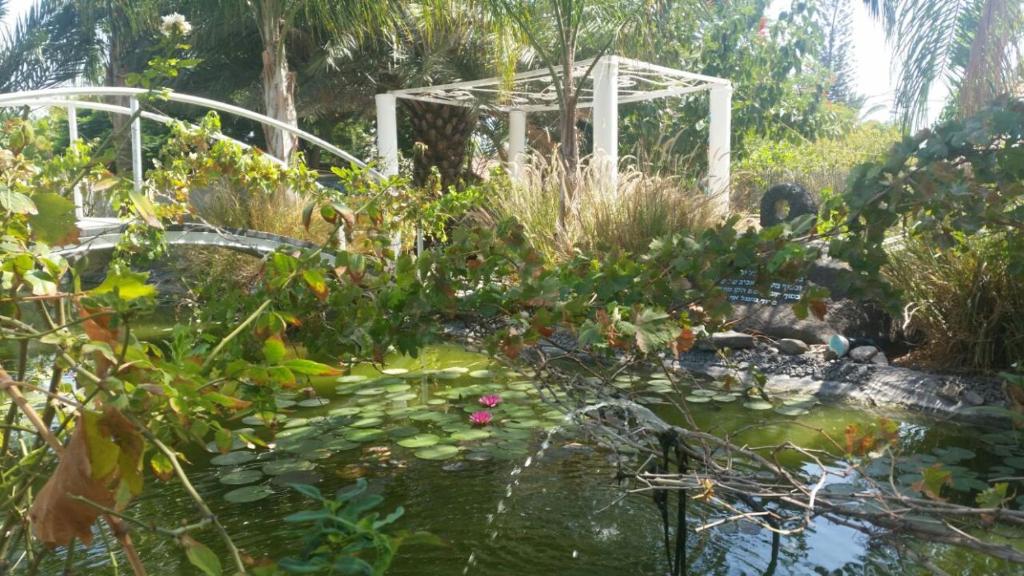 a garden with a pond with a gazebo at Kmo Yam In The Love Garden in Kinneret