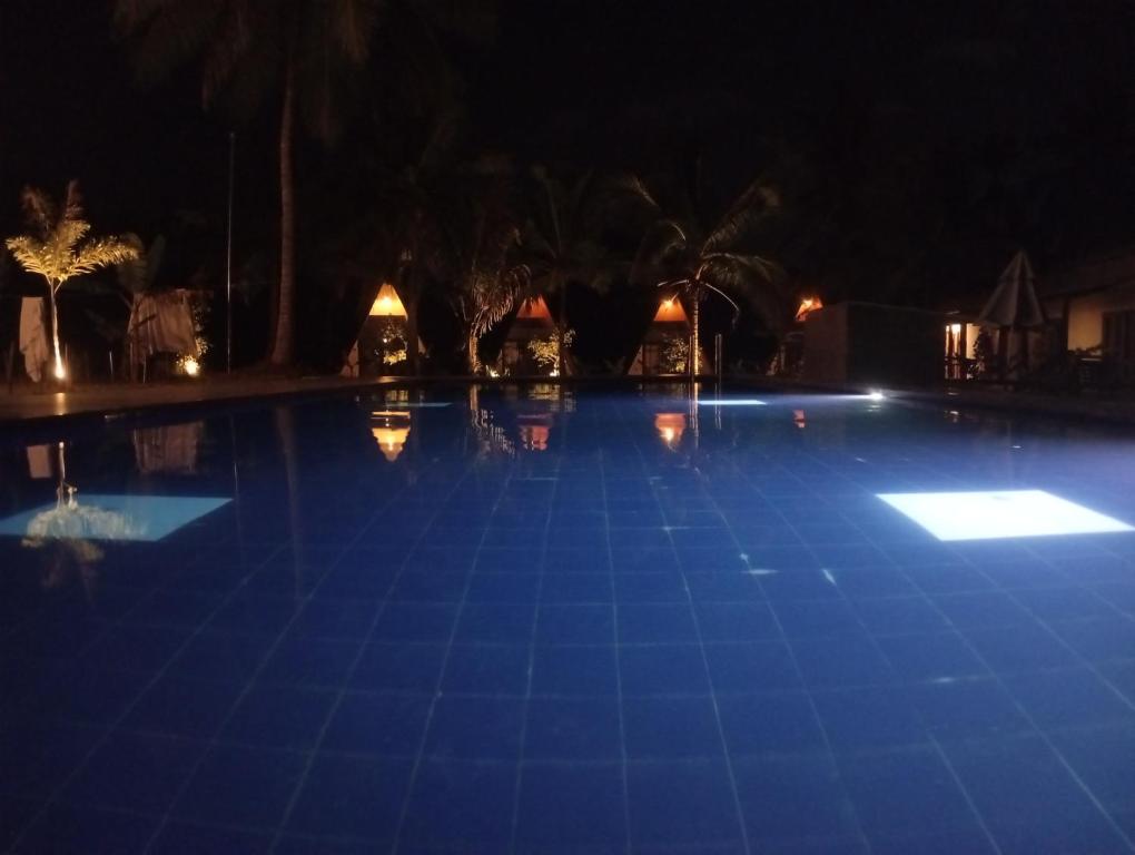 a large swimming pool at night with blue lights at A4 Villa Safari Cottage in Udawalawe
