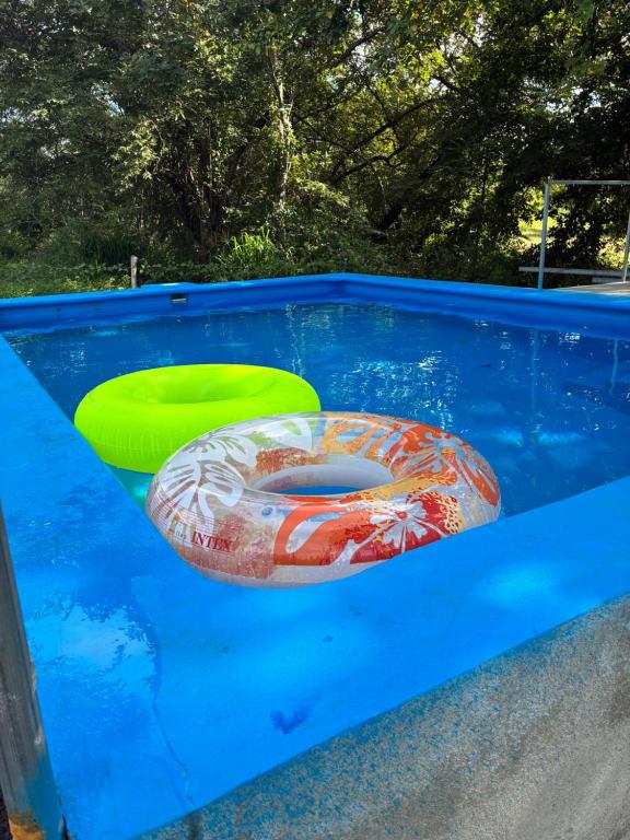 Bazén v ubytování Hospedaje Oropendola Nest nebo v jeho okolí