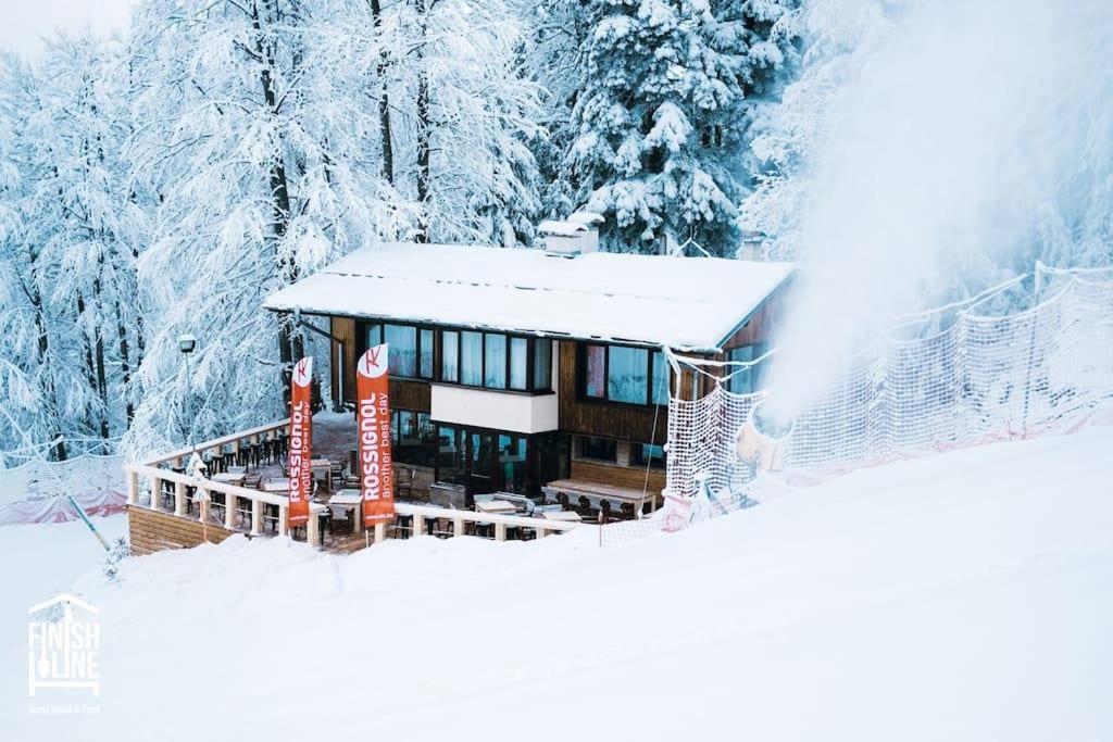 a house in the snow with snow covered trees at Finish Line Guest House in Borovets