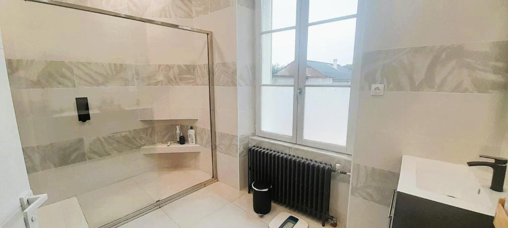 ein Badezimmer mit Dusche und Waschbecken in der Unterkunft Jolie maison 6 pers spa privé wifi 14 km Beauval in Meusnes