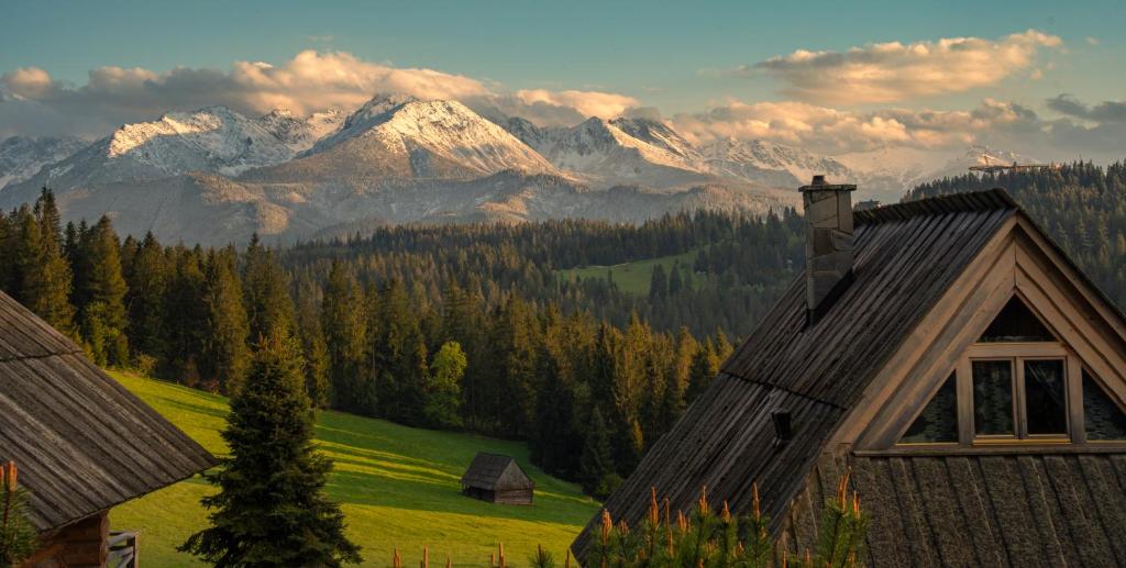 a house in a field with mountains in the background at Szymkówka in Bukowina Tatrzańska