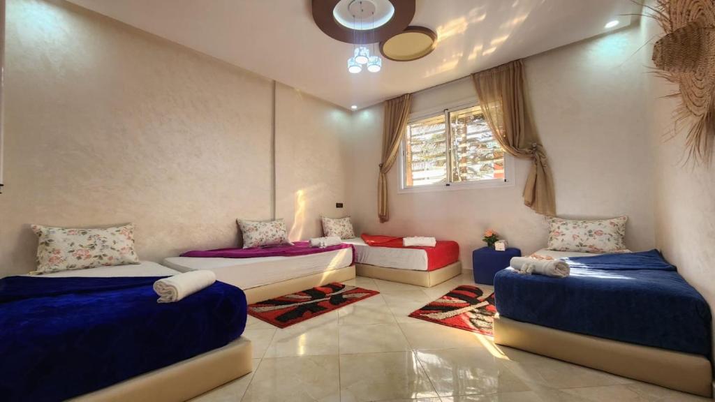 Posezení v ubytování House Viola