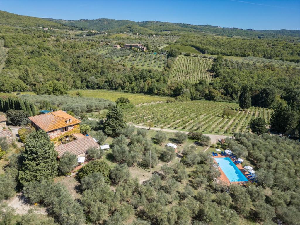 an aerial view of a estate with a swimming pool and a vineyard at Apartment La Foresta-3 by Interhome in Quercegrossa