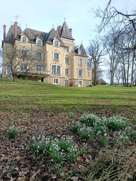 a large house on top of a grass field at Château de Villechauvon in Vatan