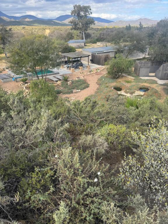 a view of a field with trees and a picnic table at Thornbird Lodge in Robertson