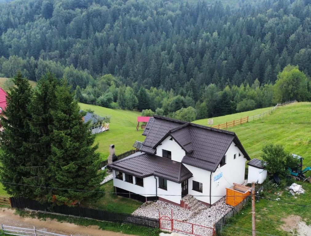 an aerial view of a house in a field at Vila Panoramic Pestera in Peştera