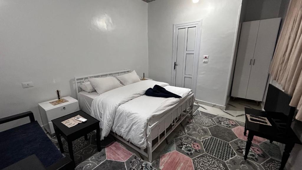 Luxor palace Apartments - 15