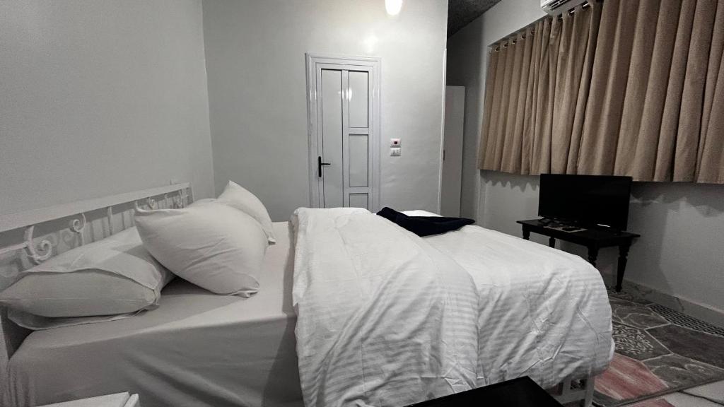 Luxor palace Apartments - 16