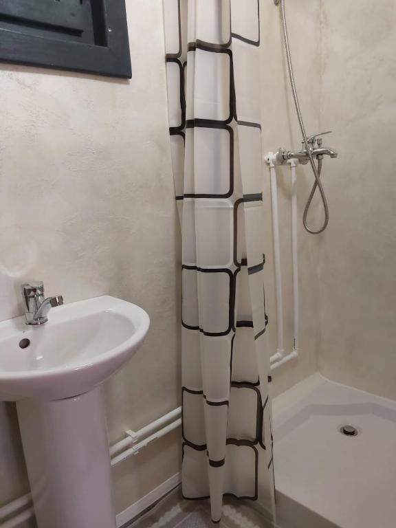 ein Badezimmer mit Waschbecken und Duschvorhang in der Unterkunft A-Frame Haven in Dealu Muntelui