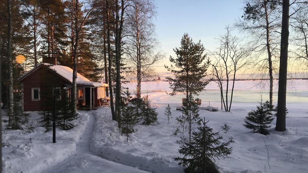 un chalet enneigé avec des arbres et un lac dans l'établissement Metsäpirtti merenrannalla, à Oulu