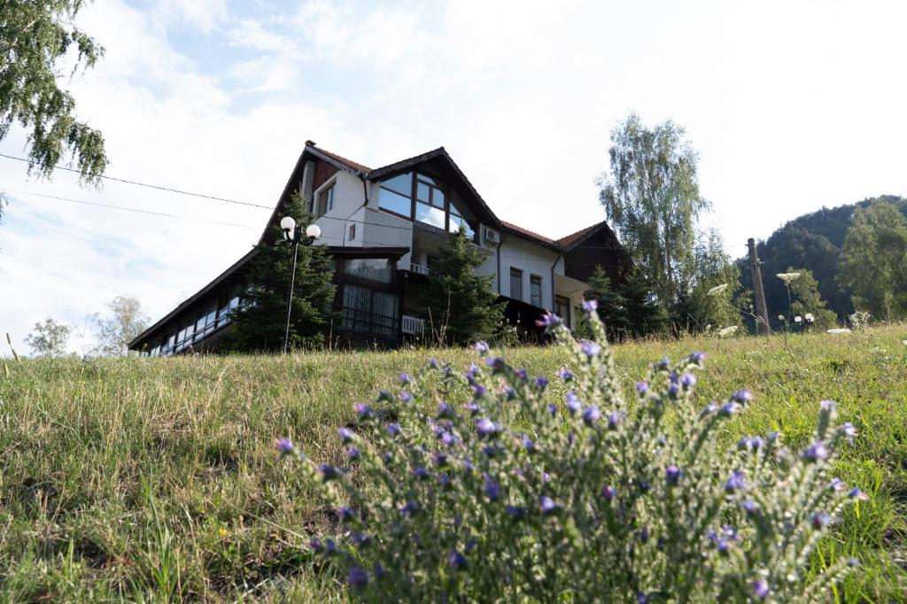 Φυσικό τοπίο κοντά σε αυτό το hostel