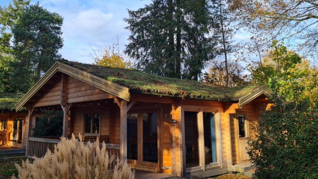 Budova, kde se vila nachází