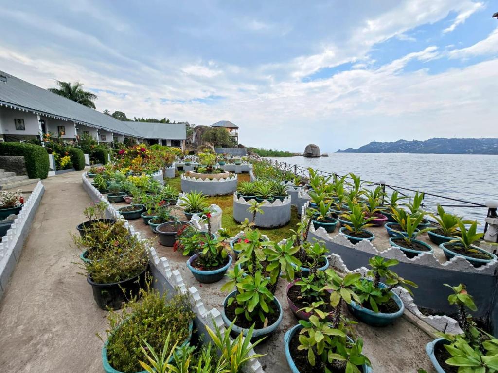 a row of potted plants sitting next to a body of water at Rusty Rock Beach Resort & Spa in Mwanza
