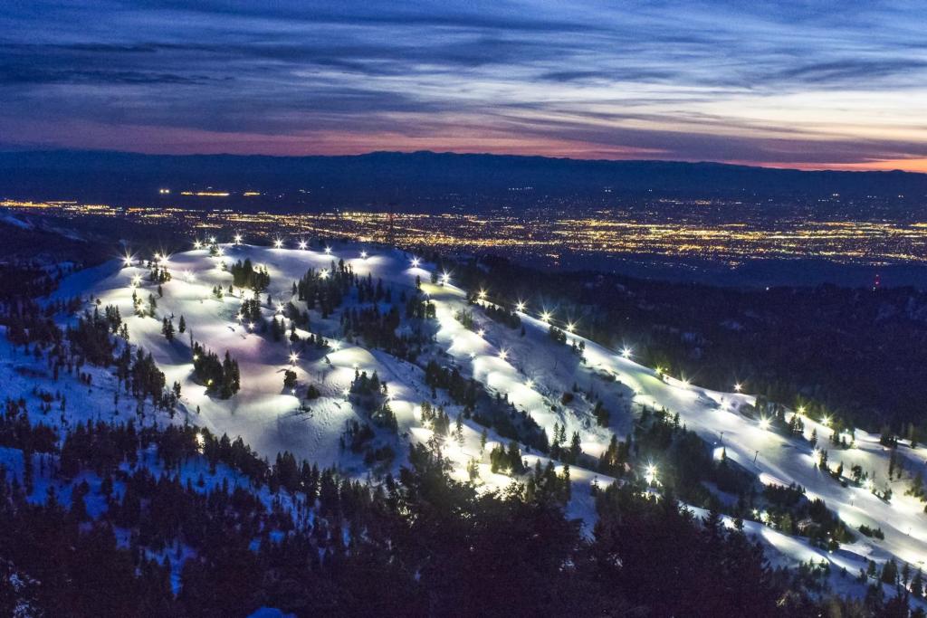 Naturlandskabet i nærheden af lejligheden