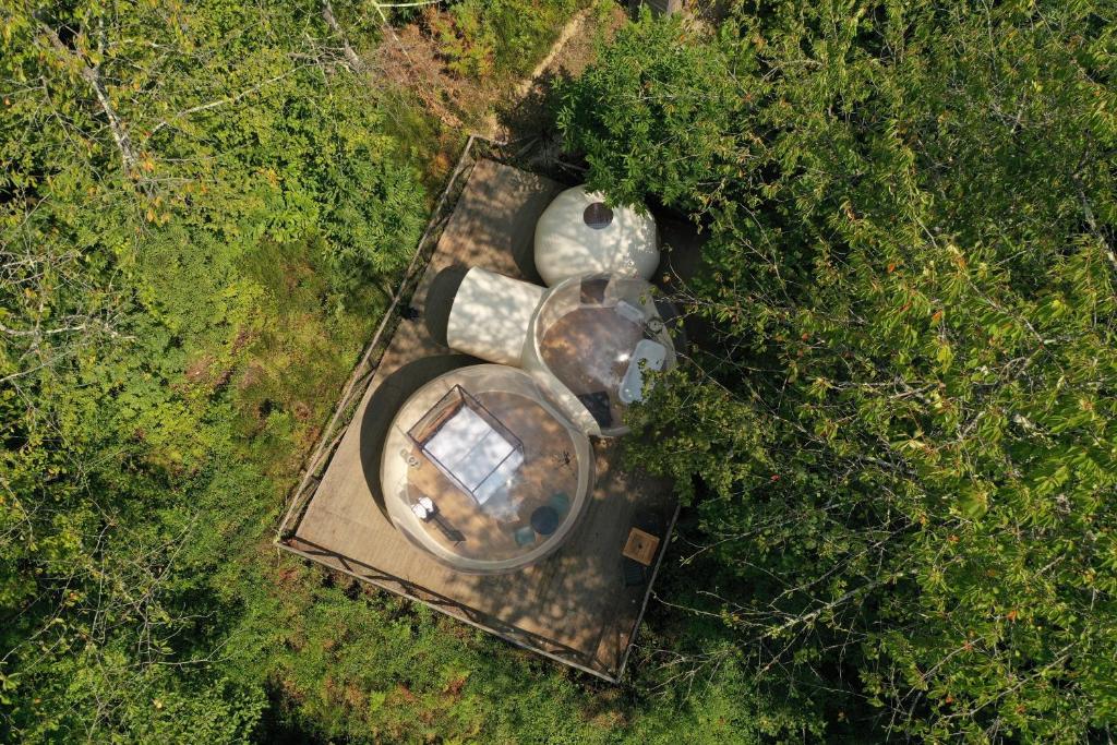 Naturlandskabet i nærheden af luksusteltet