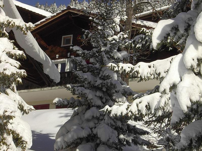 a snow covered tree in front of a cabin at Abigrot in Hasliberg Wasserwendi