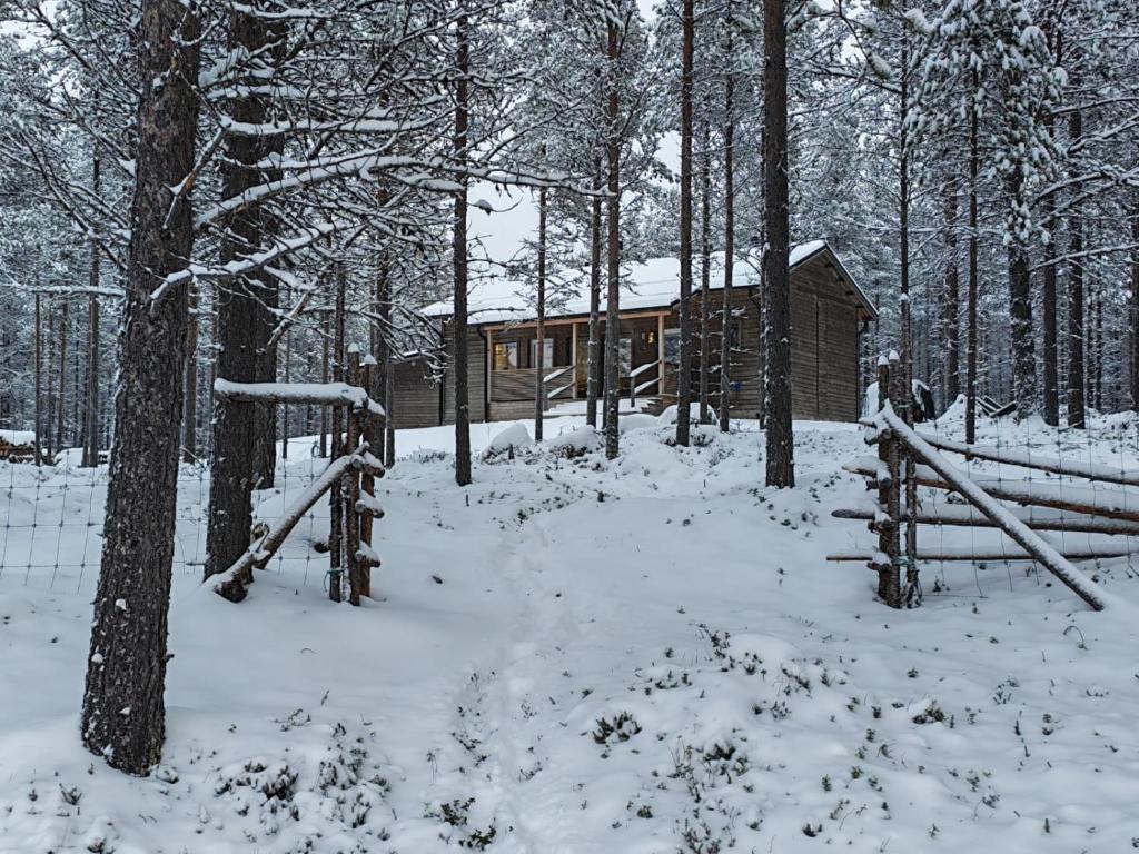 una baita di tronchi nel bosco nella neve di Villa Arvoranta a Nellimö