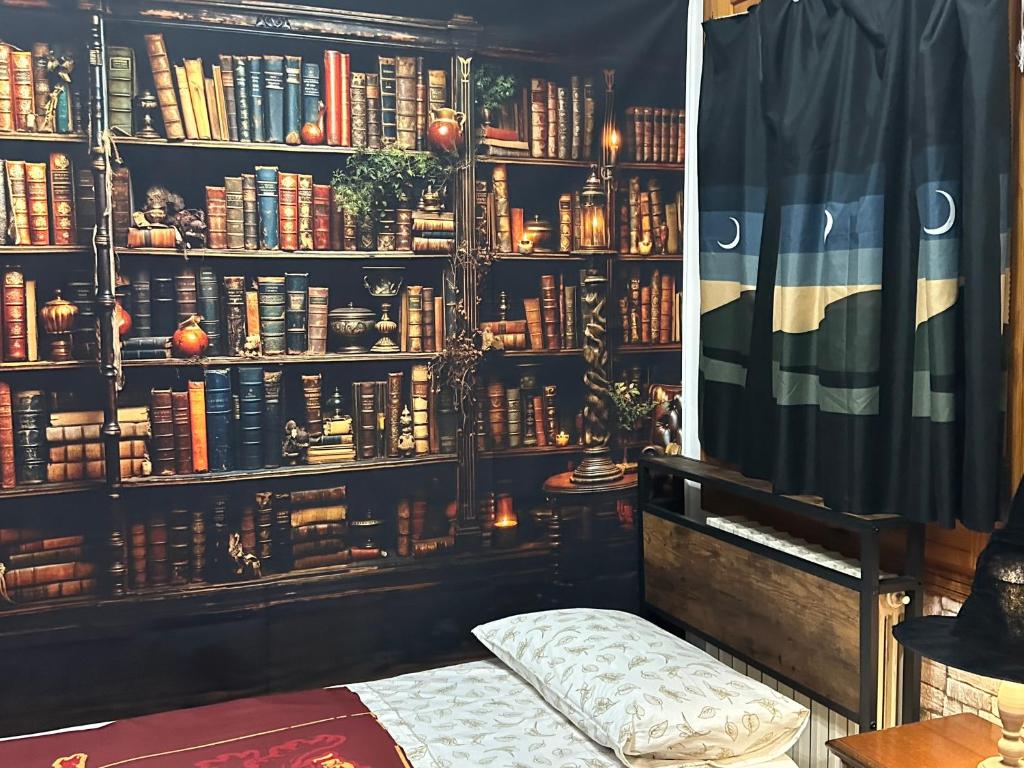 Knihovna v apartmánu