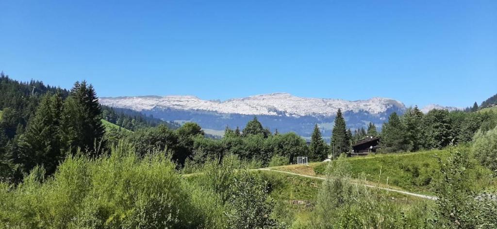 Φυσικό τοπίο κοντά σε αυτό το διαμέρισμα