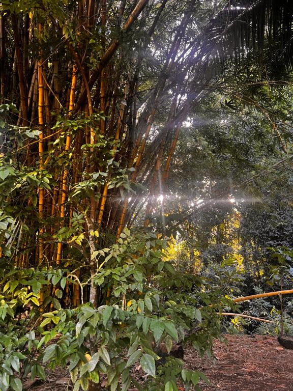 Hiariki Lodge, Hiva Oa — hébergement à Hiva Oa