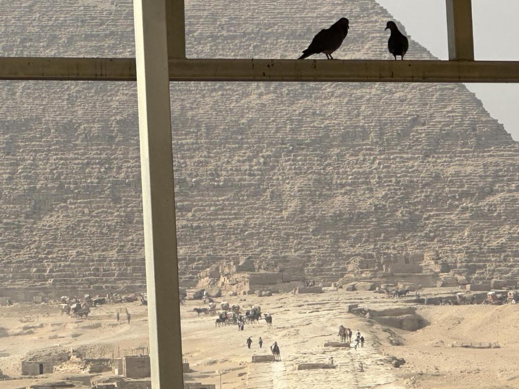 Pyramids Glory Inn - 17