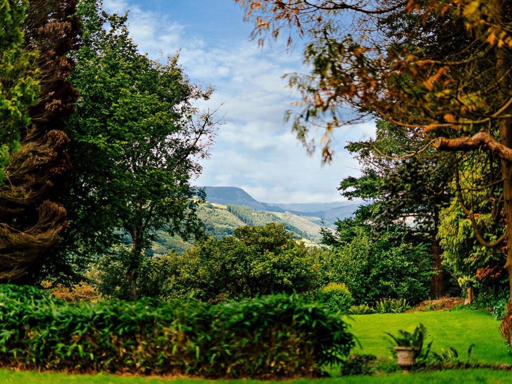 a green field with trees and mountains in the background at 2 Bed in Machynlleth 93078 in Cemmaes