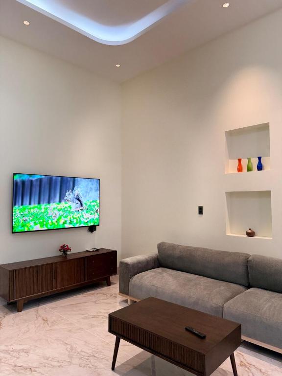 a living room with a couch and a flat screen tv at Cozy Home for Family, Friends & Work Trips in Buon Ma Thuot