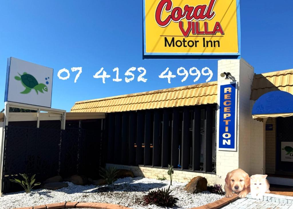 Un chien assis devant un motel dans l'établissement Bundaberg Coral Villa Motor Inn, à Bundaberg