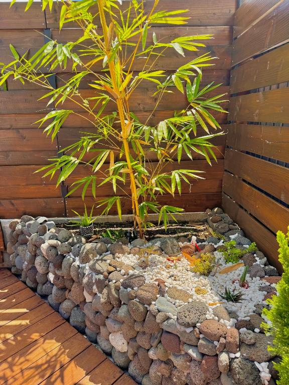 Villa Fare Mananui 2 chambres avec piscine et jardin - photo 12 - Tahiti, Polynésie