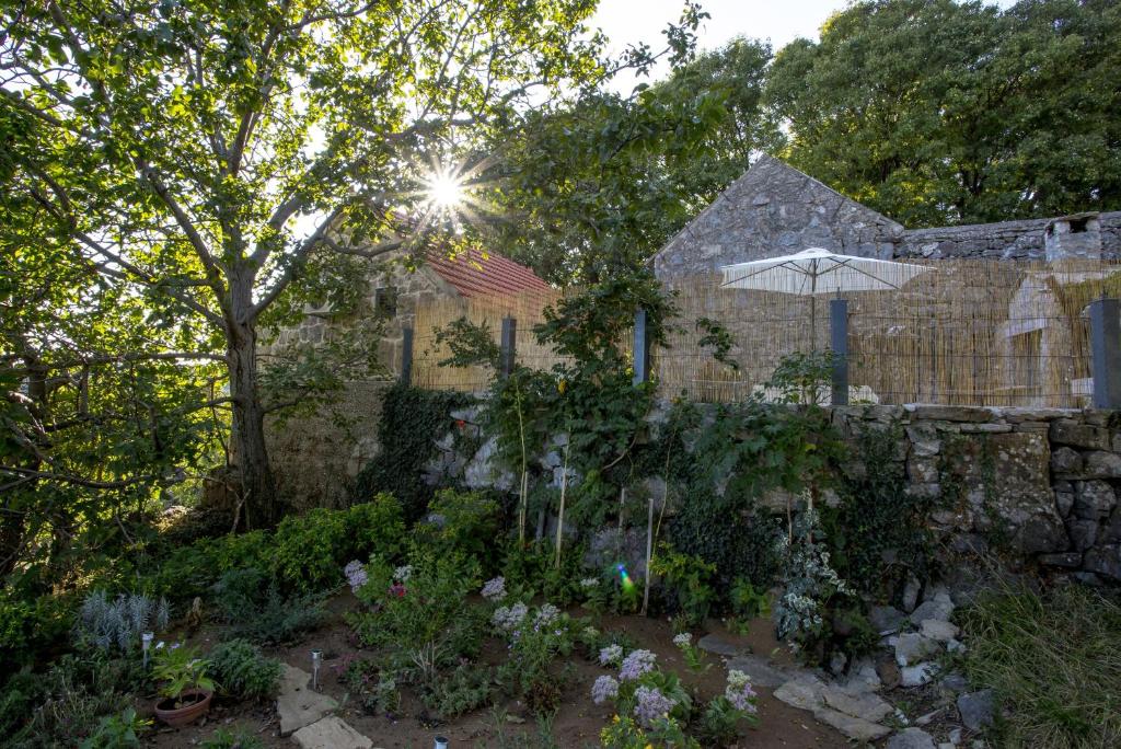 Κήπος έξω από το Apartments with parking space Gata, Omis - 6033