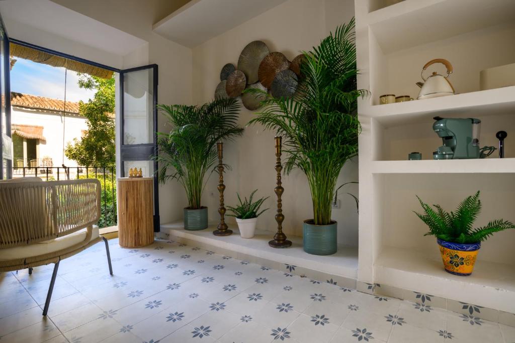 a living room with potted plants on shelves at Casa Elisa in Marbella