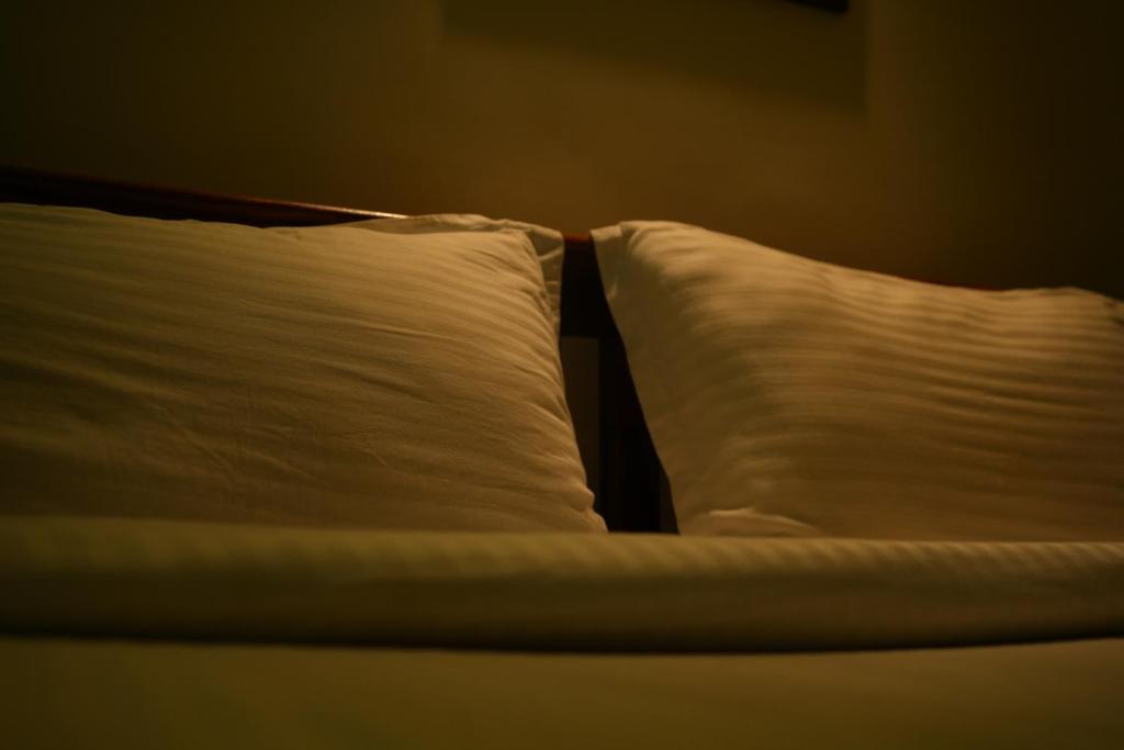 - 2 oreillers blancs installés au-dessus du lit dans l'établissement Moksha at Infinity Valley, à Kotagiri