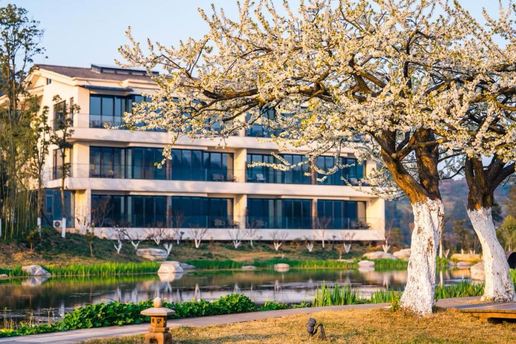 Un jardín fuera de 成都释玥森林酒店