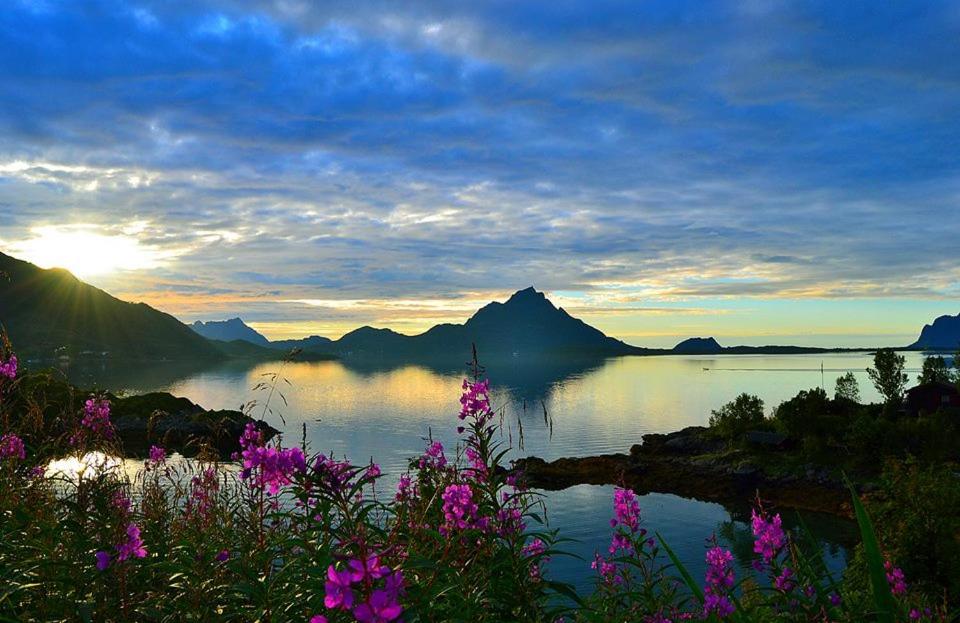 a view of a body of water with purple flowers at Skjellbogen Hyttegrend in Sortland