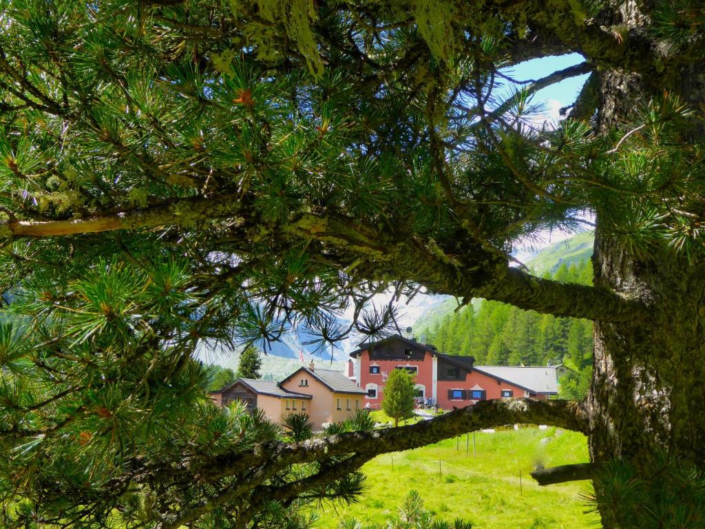 Paesaggio naturale nelle vicinanze dell'hotel