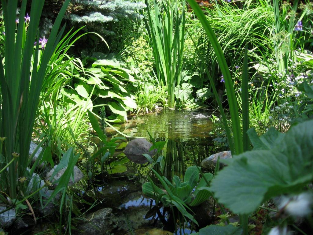 Zahrada ubytování Naturkräuterhaus Eder