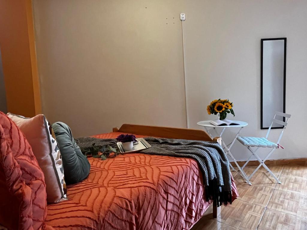 Casa Paqocha Garden - Ollantaytambo - Hot Water - Wifi - Cocina Compartida - 单人间 - 带私人浴室