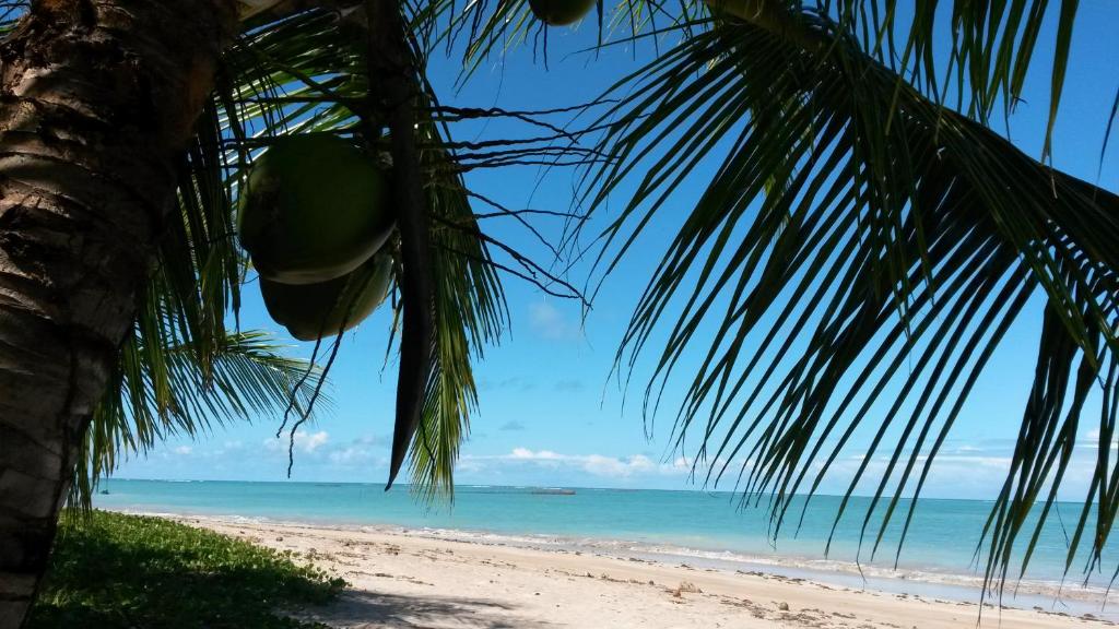  Suites Vida Sol