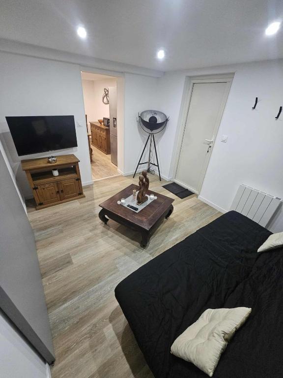 Apartment في Naintré: غرفة معيشة مع سرير وتلفزيون بشاشة مسطحة