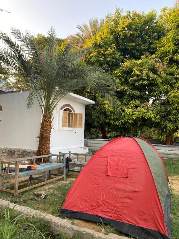 Κήπος έξω από το Bafana Bafana Nile View Guest House