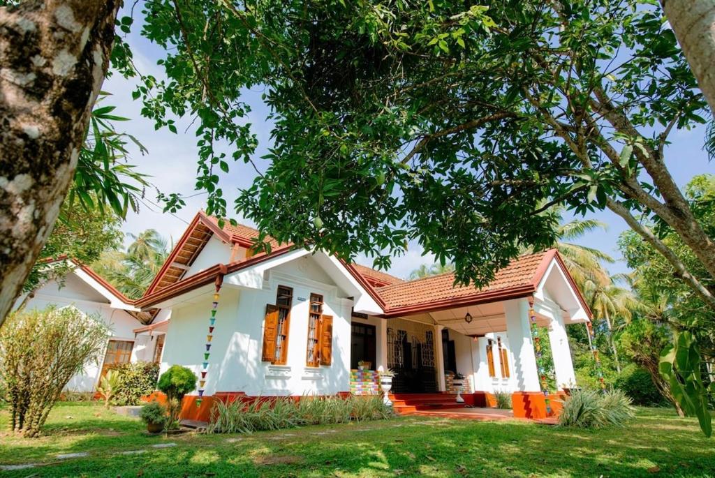 Κήπος έξω από το Aurora පාට පාට