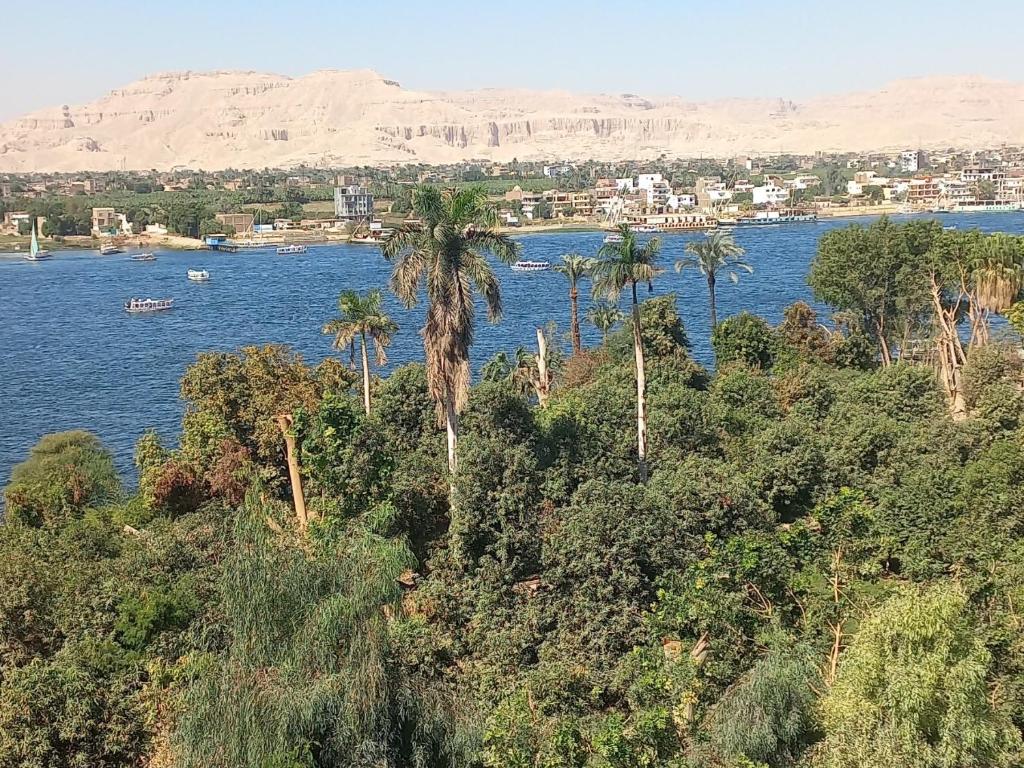 uitzicht op een waterlichaam met palmbomen bij New Pola Hotel in Luxor