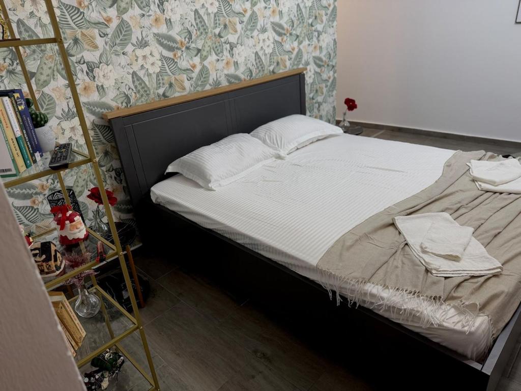 克拉约瓦Petra's的书架的房间的一张床位